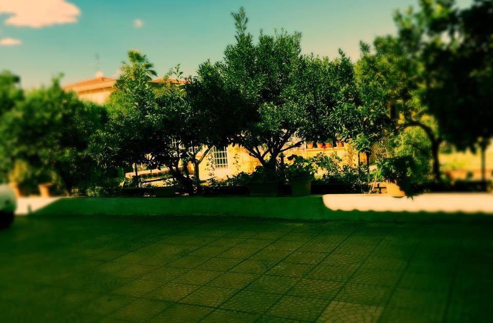 Villa Aurora Morena Buitenkant foto